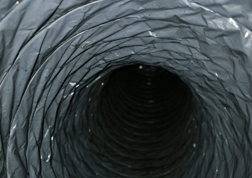c2454cea-ee14-4b0f-b1e5-722d7acccafe Large